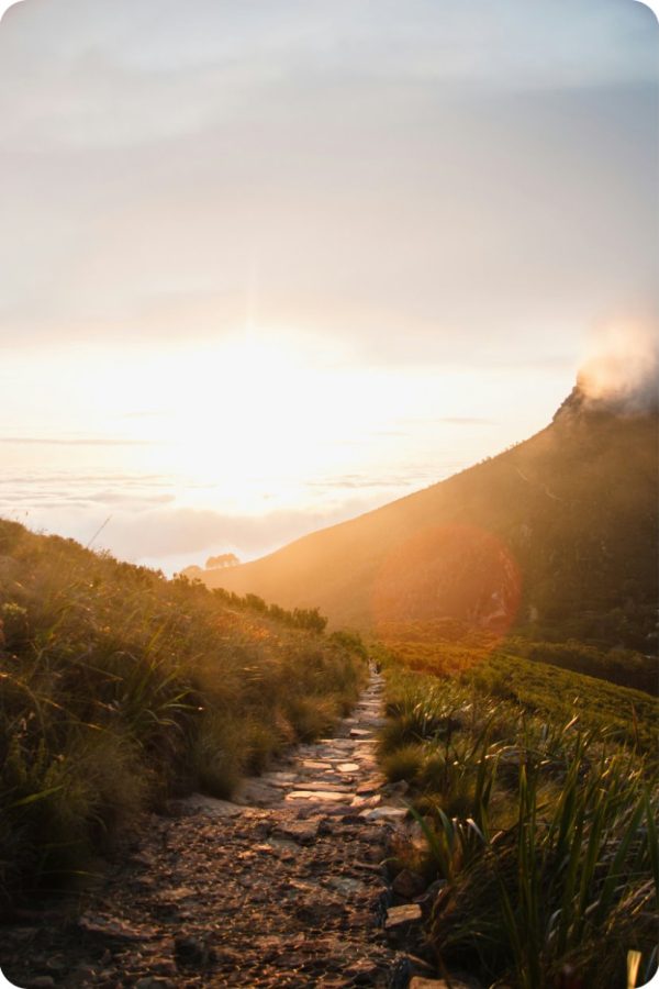 tim-johnson-PcGpGMYZMI8-unsplash-829-1240